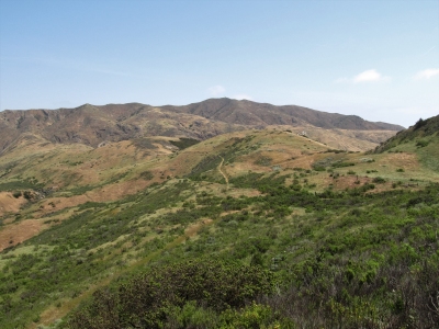 "El Monta&ntilde;on"