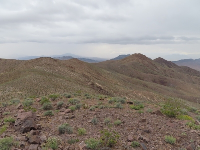 Johnnie Range (HP)