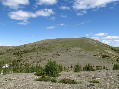 Tamarack Ridge