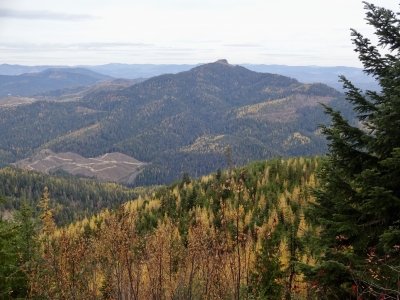 Beals Butte