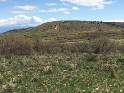 Brush Mountain