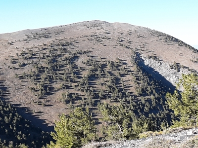 Cass House Peak