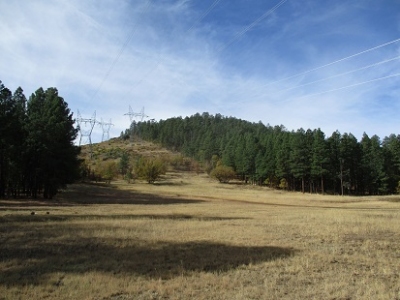 Hollingshead Mountain