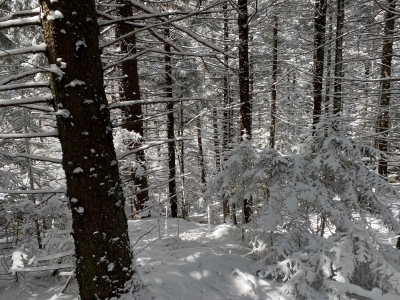 Big Spruce Knob