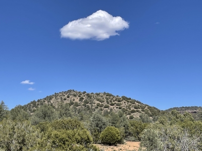 White Mountain
