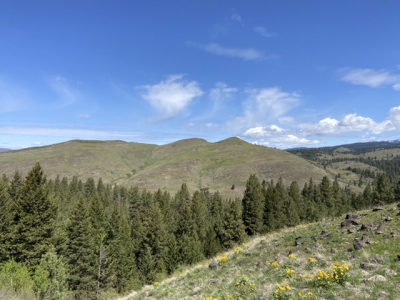 Friday Butte