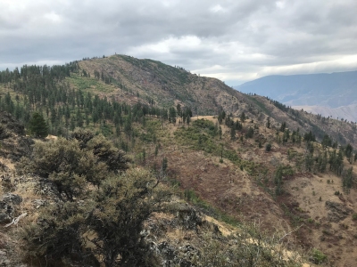 Stormy Point