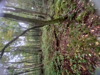 Mahoning Mountain