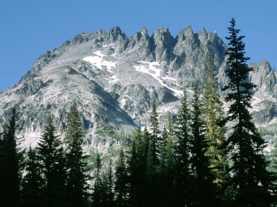 Seven Fingered Jack