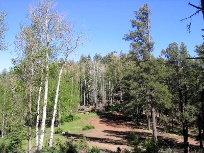 Hutch Mountain