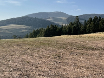 Edge Benchmark
