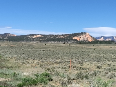 Henderson Point