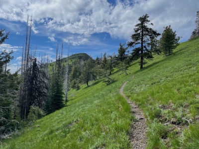 Hall Mountain