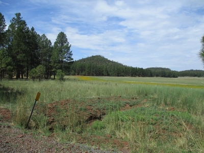 McCracken Knolls (HP)