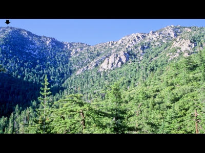 San Jacinto Wilderness HP