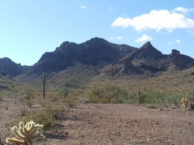 "La Cholla Peak"