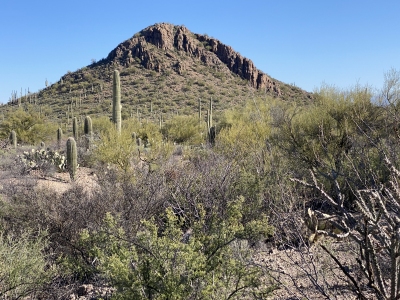 "Enchanted Peak"