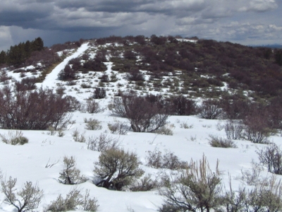 Cow Ridge, West