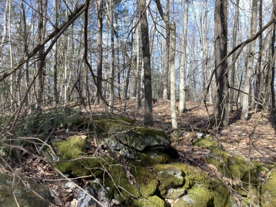 Everett Hill