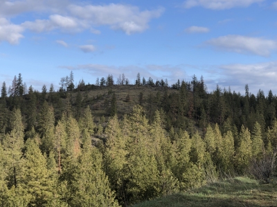 Castle Rock