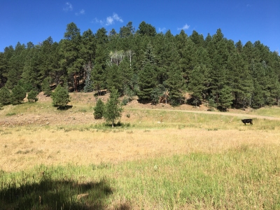 Flatiron Mesa