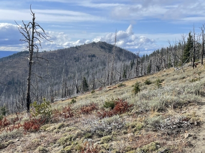 John Day Mountain