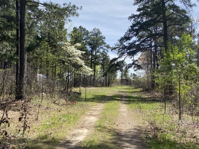 Huckleberry Mountain