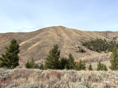 Muldoon Ridge