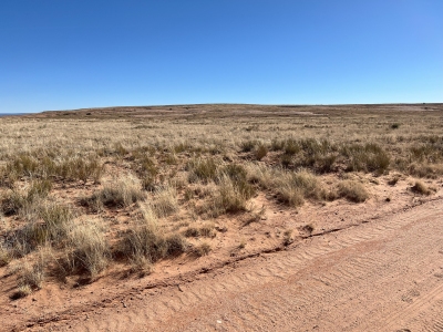 Red Rock Rim
