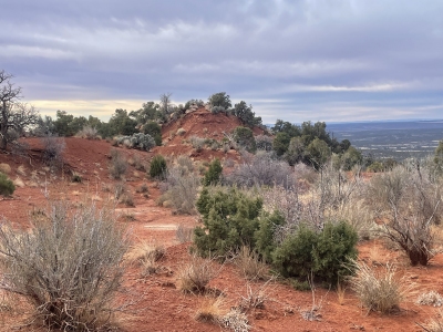 Fish Creek Canyon WSA HP