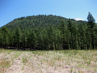 Cerro del Pino
