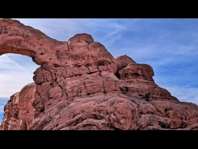 Duck-On-The-Rock