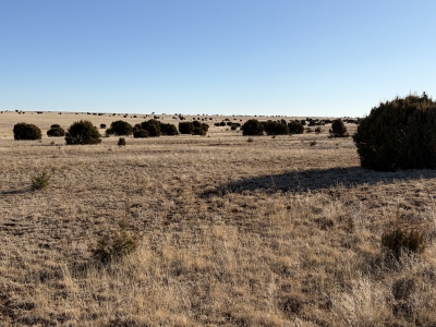Yegua Mesa