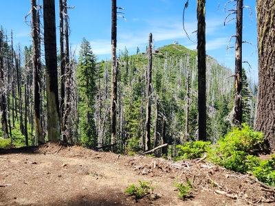 Bear Basin Butte