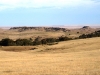 Cheyenne Lookout