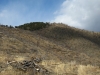 Deer Mountain