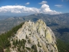 Needles, The