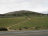 French Hill