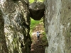Apple Orchard Mountain