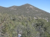 Jicarilla Peak