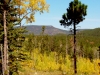 Odakota Mountain