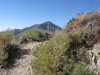 Telescope Peak