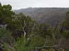 Dolores Canyon Overlook