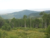 Pinnacle Mountain