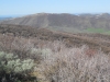 Escarpment Peak