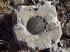 Anchor Benchmark