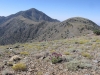 Telescope Peak